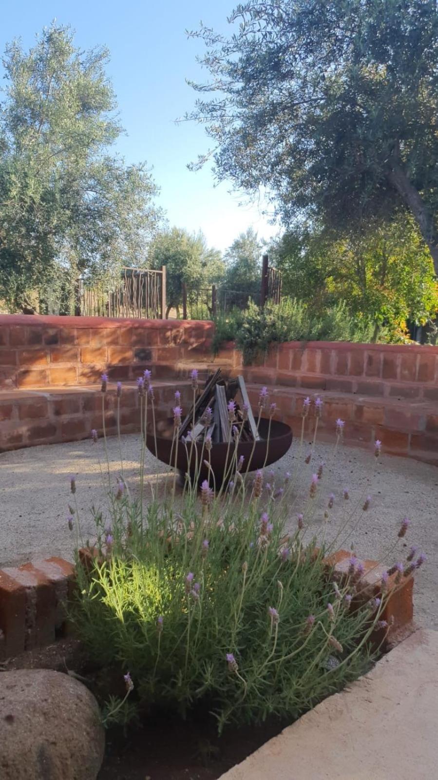 Estancia Los Amigos Valle De Guadalupe Zewnętrze zdjęcie
