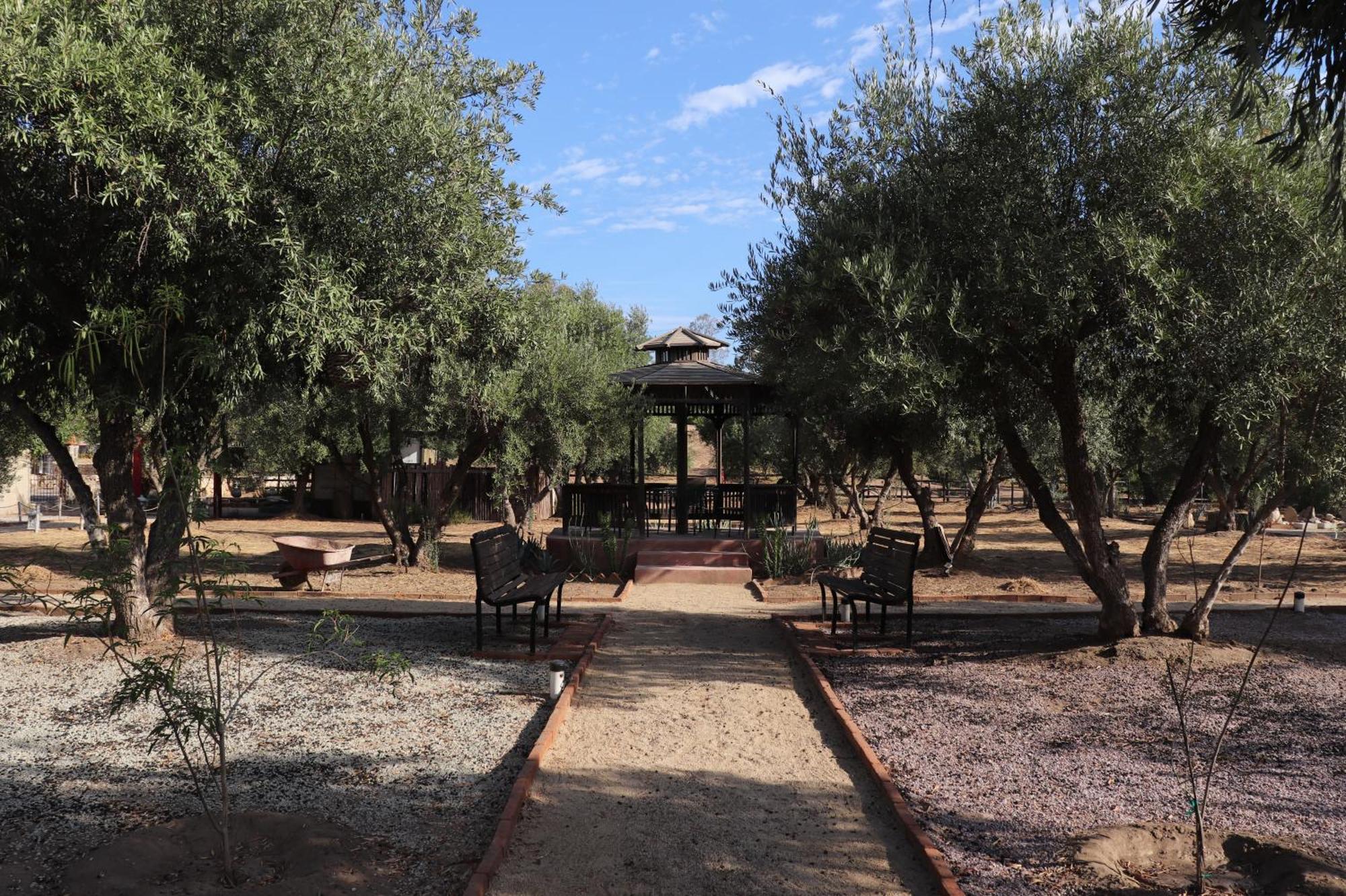 Estancia Los Amigos Valle De Guadalupe Zewnętrze zdjęcie